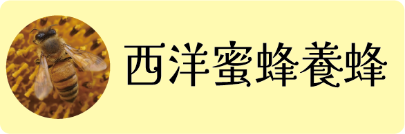 オンラインショップ